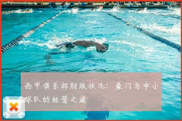 西甲俱乐部财政状况:豪门与中小球队的经营之道